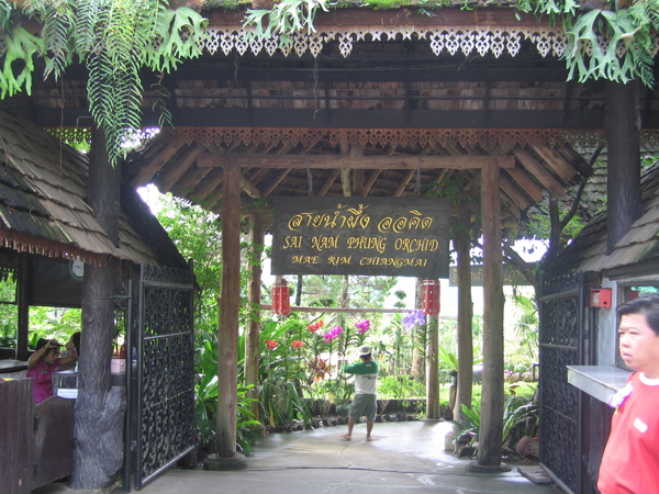 IMG_2968.JPG IMG_2968.JPG