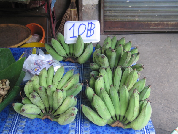 IMG_3039.JPG IMG_3039.JPG