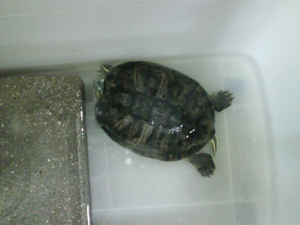 DSC00182.JPG DSC00182.JPG