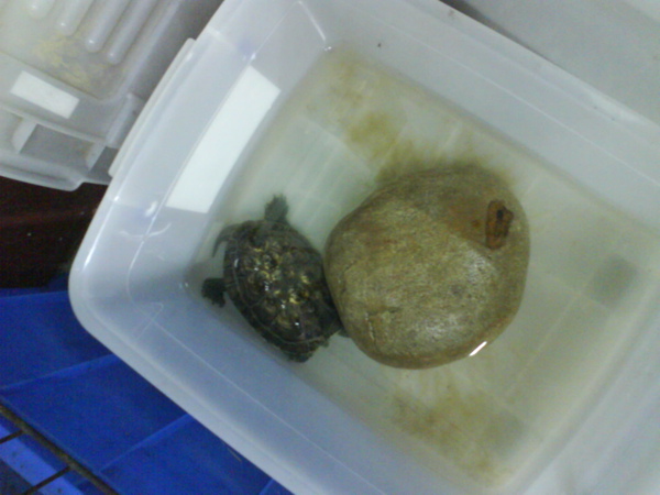 DSC00183.JPG DSC00183.JPG