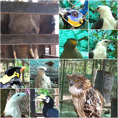 Day7-4.jpg Day7-4.jpg