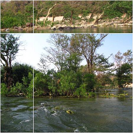 Day10-10.jpg Day10-10.jpg