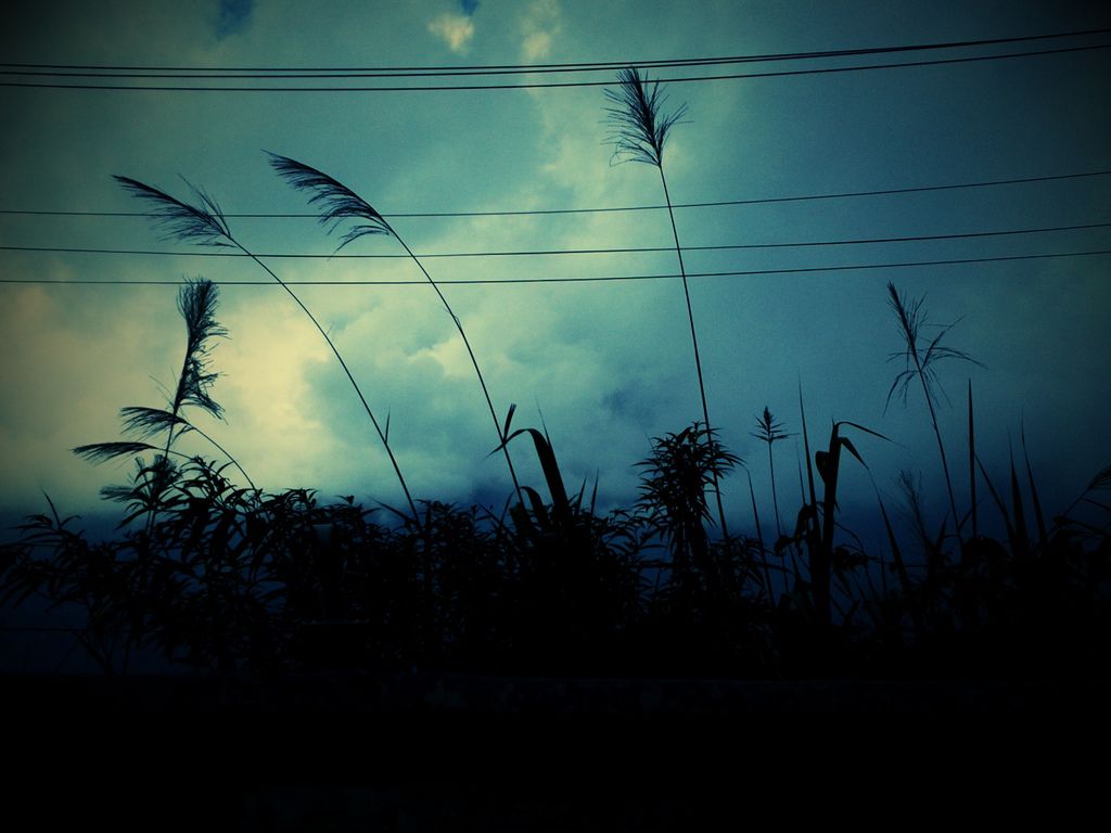 C360_2011-07-12 13-56-02.jpg