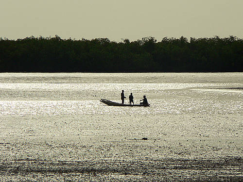 Saloum Delta _Senegal_01.jpg