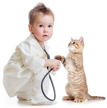 taking-your-cat-to-vet