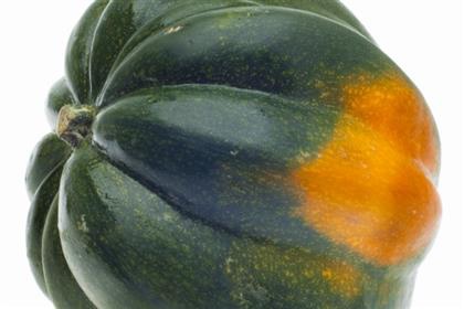 Winter_Squash2_lg