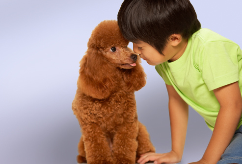 getty_rf_photo_of_boy_with_poodle
