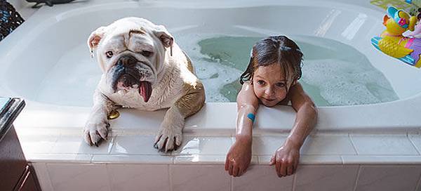 girl-english-bulldog-friendship-photography-lola-harper-rebecca-leimbach-thumb640 girl-english-bulldog-friendship-photography-lola-harper-rebecca-leimbach-thumb640