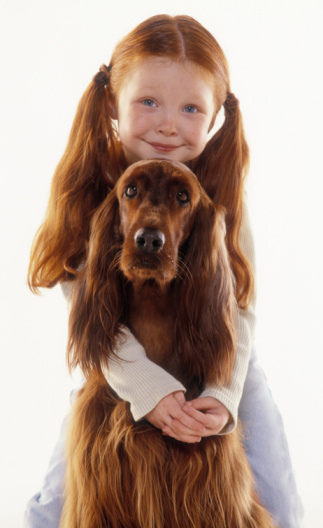 Top-10-Best-Dogs-for-Kids7