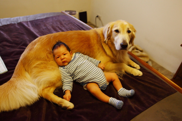 6938362670_e1be239a5c_z 6938362670_e1be239a5c_z