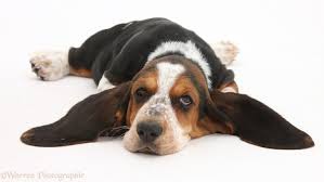 images8T48GDXY images8T48GDXY