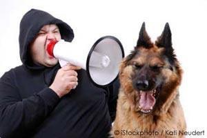 man-shouting-pet-dog
