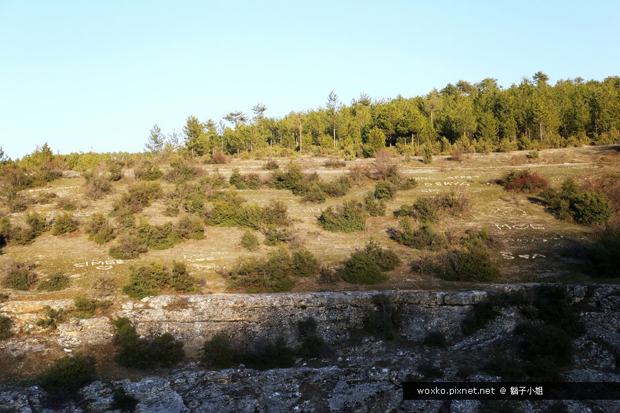 IMG_1214 IMG_1214