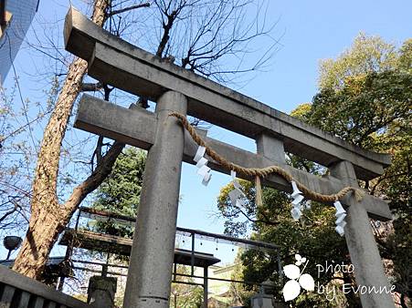 難波八阪神社 (1)