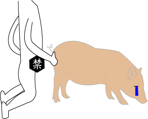 豬仔真可憐 豬仔真可憐