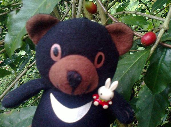 1相片3141_001.jpg 1相片3141_001.jpg