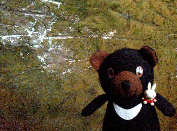 1相片3044_001.jpg 1相片3044_001.jpg