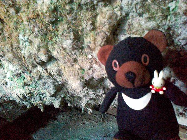 1相片3050_001.jpg 1相片3050_001.jpg