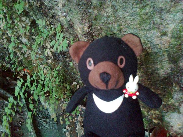 1相片3053.jpg 1相片3053.jpg