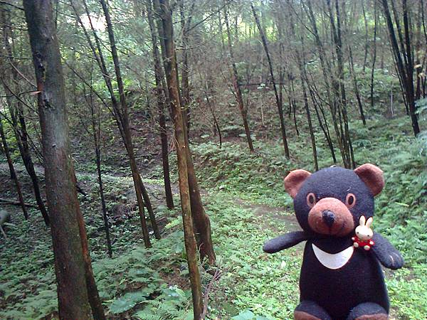 1相片3061.jpg 1相片3061.jpg