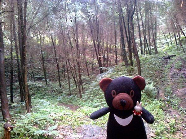 1相片3062_001.jpg 1相片3062_001.jpg