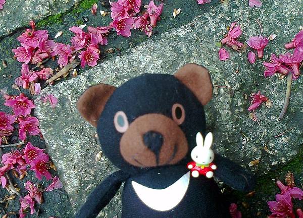 1相片3069_001.jpg 1相片3069_001.jpg