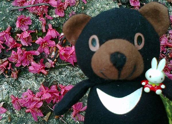 1相片3070_001.jpg 1相片3070_001.jpg