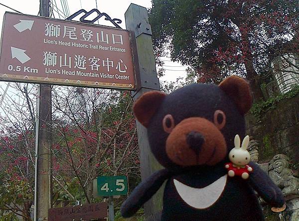 1相片3074_001.jpg 1相片3074_001.jpg