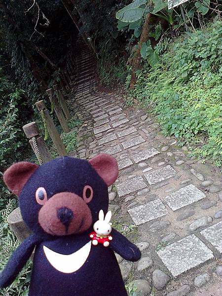 1相片3076_001.jpg 1相片3076_001.jpg