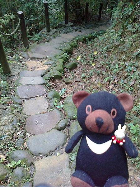 1相片3077.jpg 1相片3077.jpg