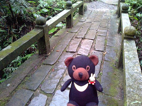 1相片3079_001.jpg 1相片3079_001.jpg