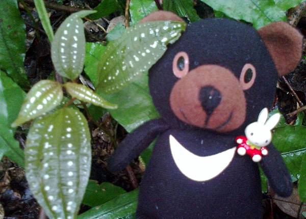 1相片3083_001.jpg 1相片3083_001.jpg