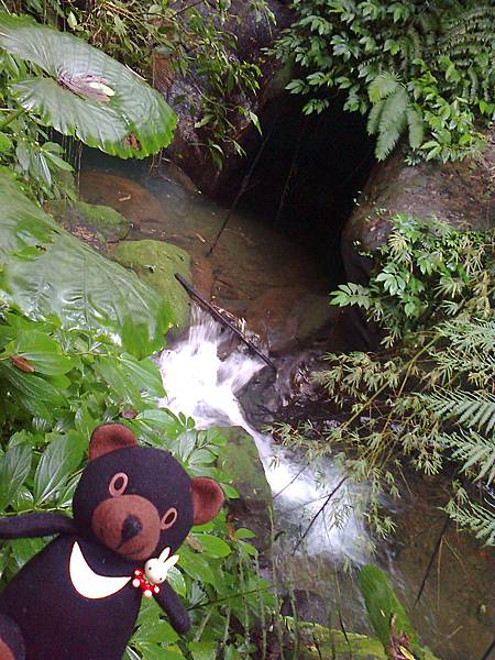 1相片3084.jpg 1相片3084.jpg