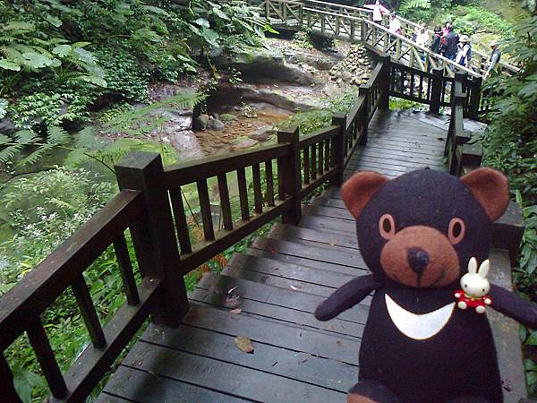 1相片3085.jpg 1相片3085.jpg