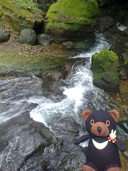 1相片3088.jpg 1相片3088.jpg