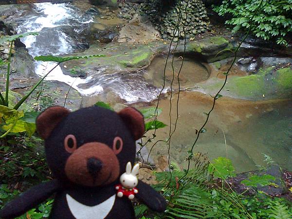 1相片3091.jpg 1相片3091.jpg