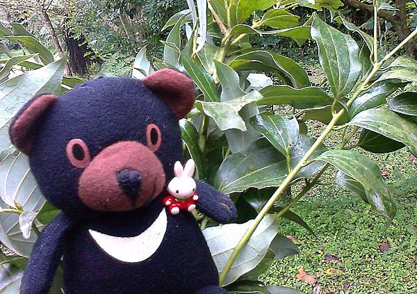 1相片3095_001.jpg 1相片3095_001.jpg