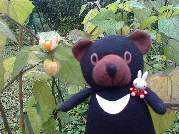 1相片3100.jpg 1相片3100.jpg