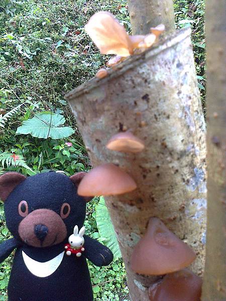 1相片3103.jpg 1相片3103.jpg