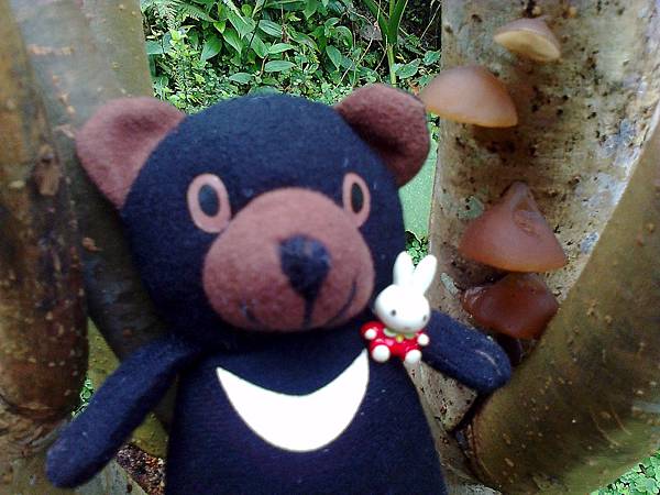 1相片3104_001.jpg 1相片3104_001.jpg