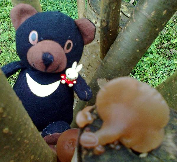 1相片3105_001.jpg 1相片3105_001.jpg