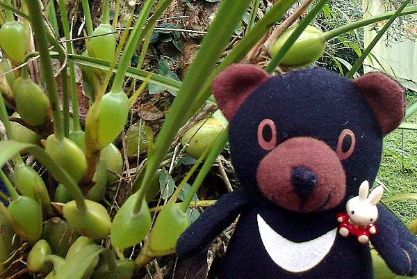 1相片3108_001.jpg 1相片3108_001.jpg