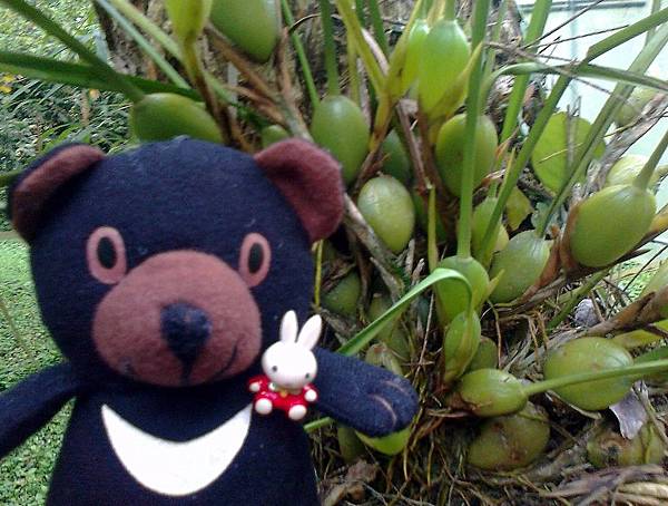 1相片3109_001.jpg 1相片3109_001.jpg