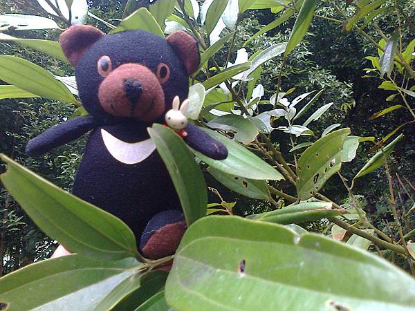 1相片3110.jpg 1相片3110.jpg