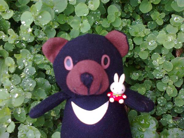 1相片3111.jpg 1相片3111.jpg