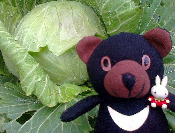 1相片3112_001.jpg 1相片3112_001.jpg