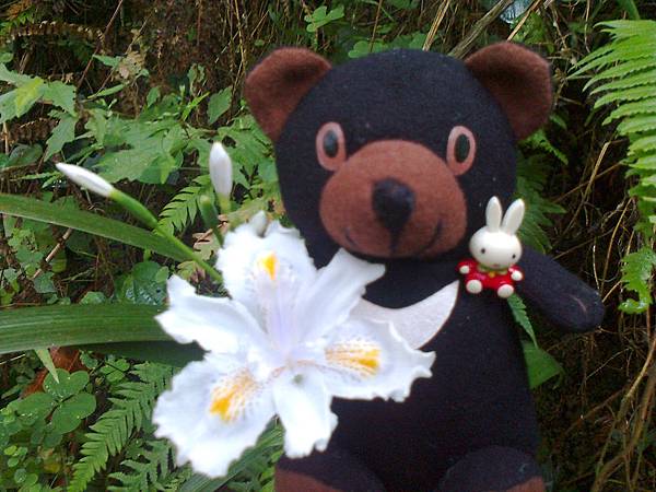 1相片3114.jpg 1相片3114.jpg