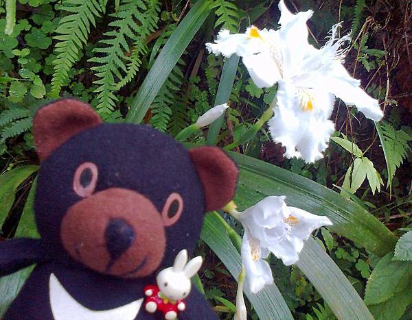 1相片3115_001.jpg 1相片3115_001.jpg