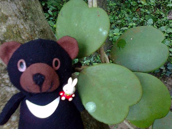 1相片3119_001.jpg 1相片3119_001.jpg