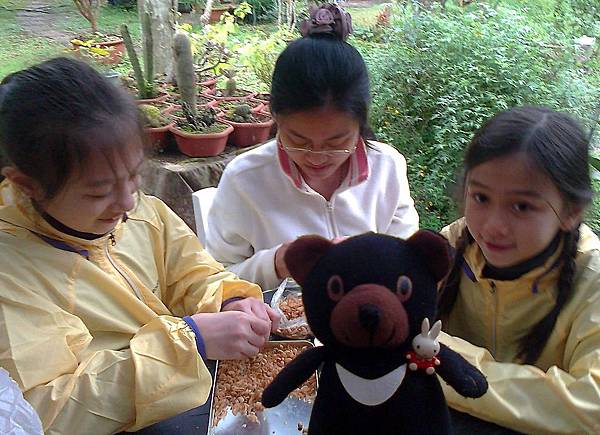 1相片3121_001.jpg 1相片3121_001.jpg